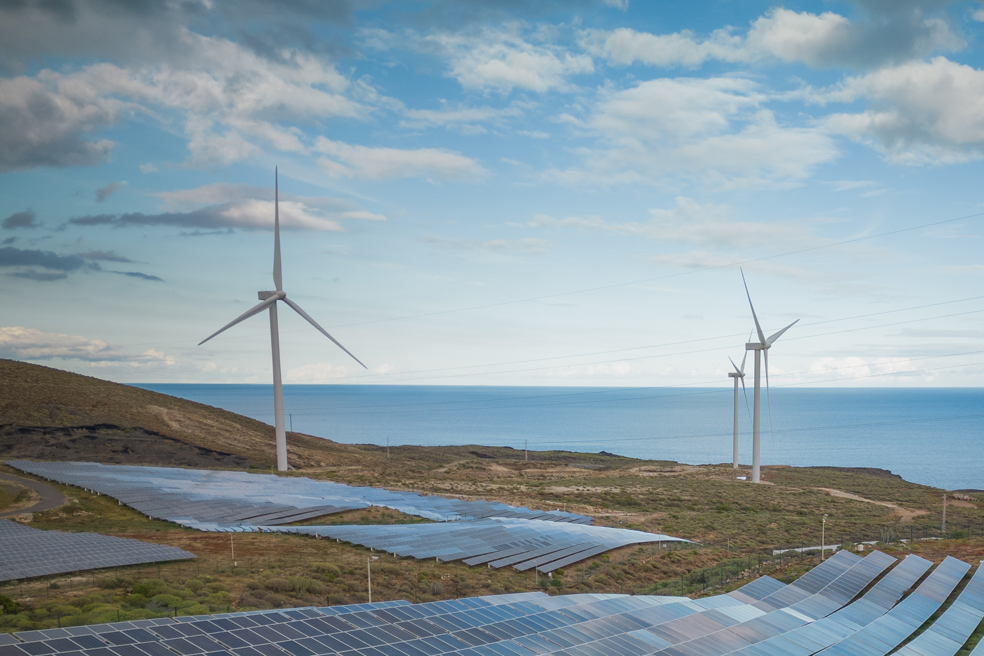 Top 4 Renewable Energies and Their Future