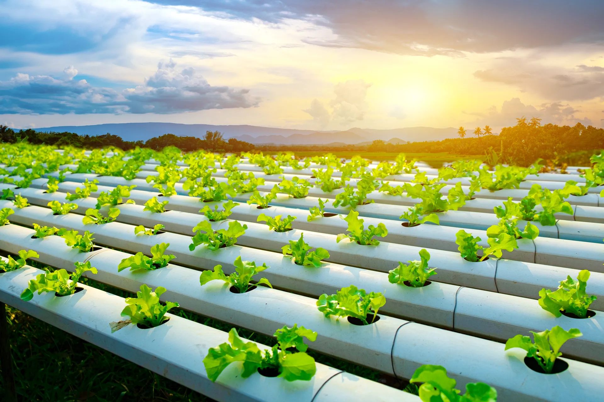 Agricultura 4.0: La revolución digital en el campo