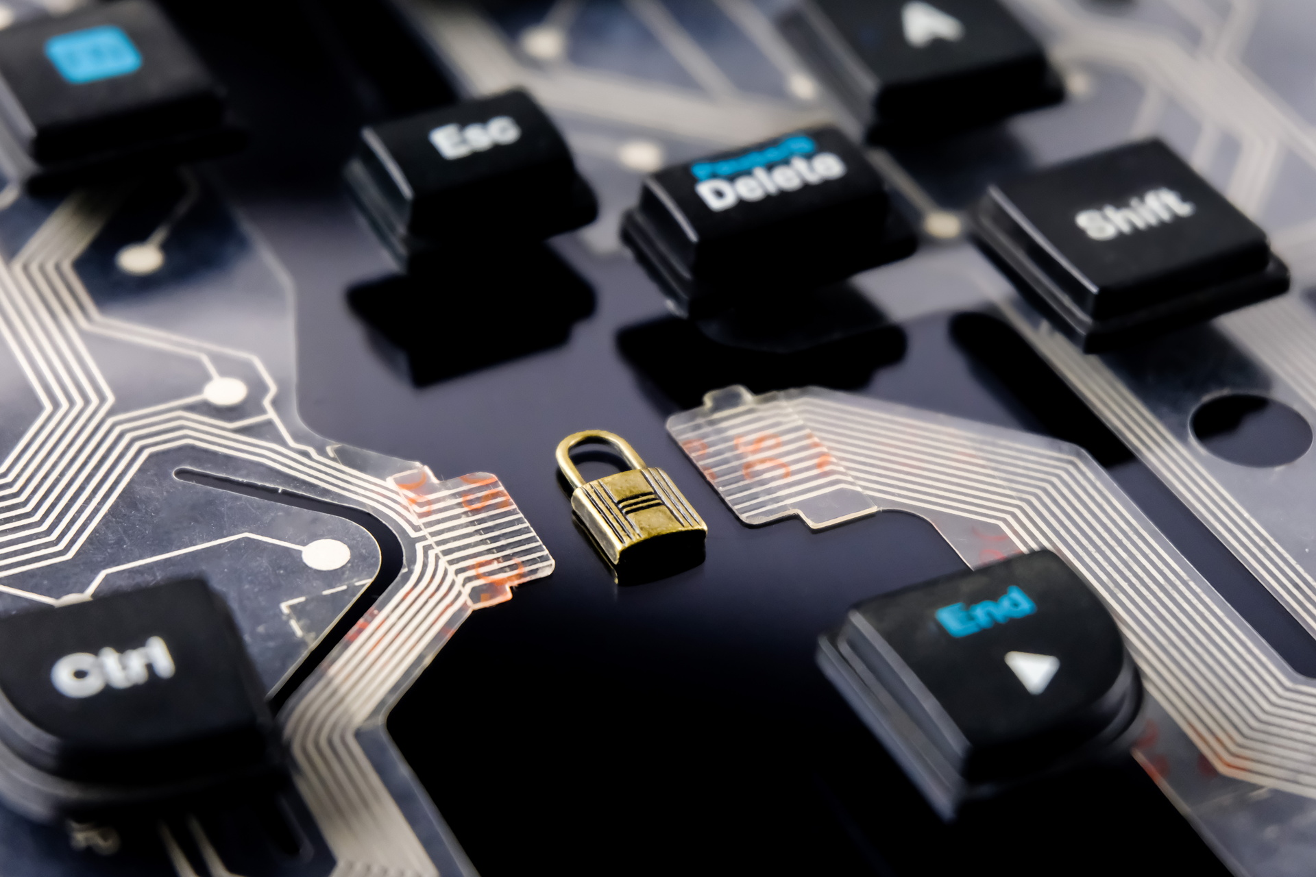 How to Protect Your Privacy Online: Tips and Tools