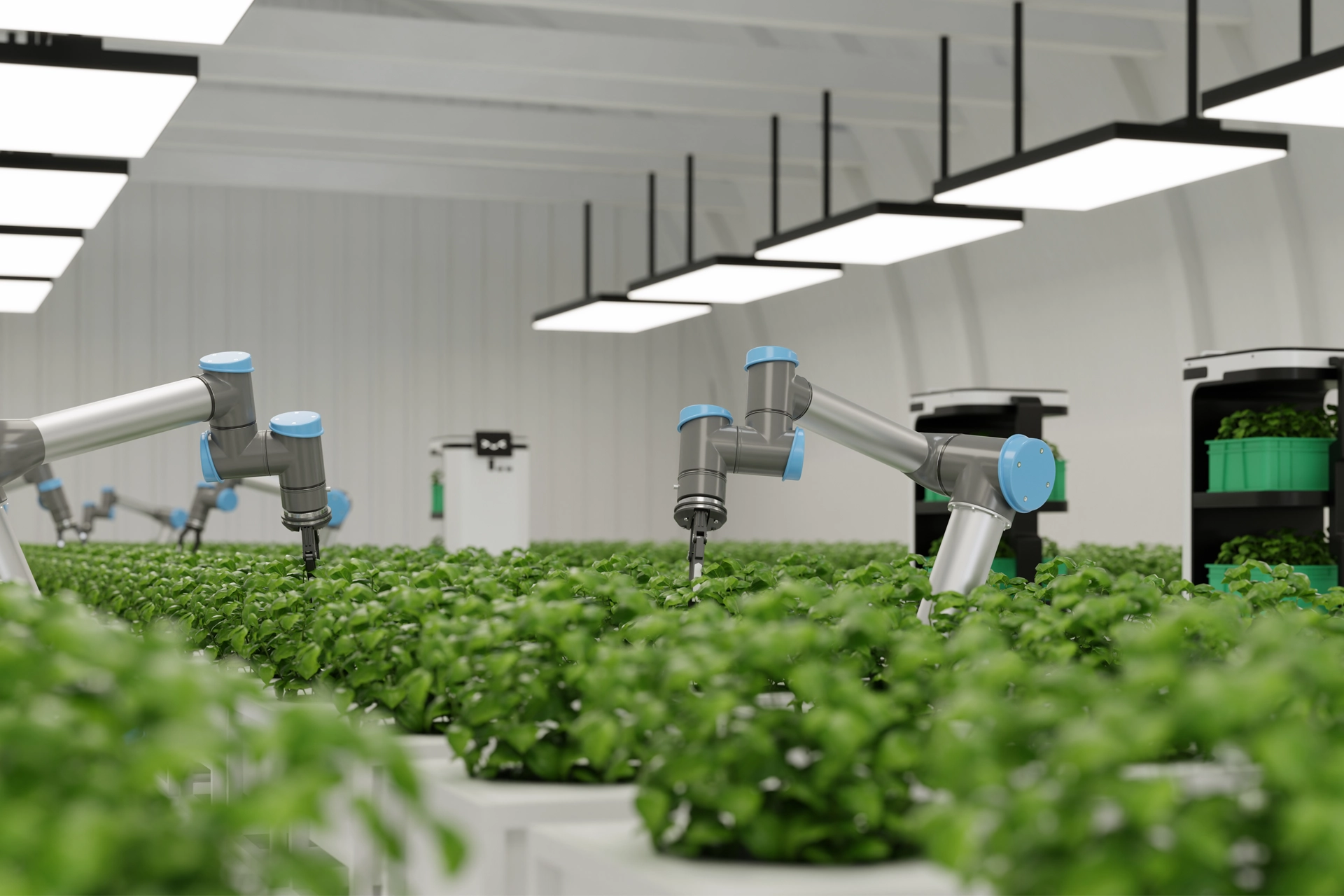 Top 7 robots que están mejorando la sostenibilidad en 2025