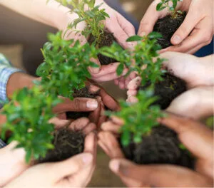Manos con plantas