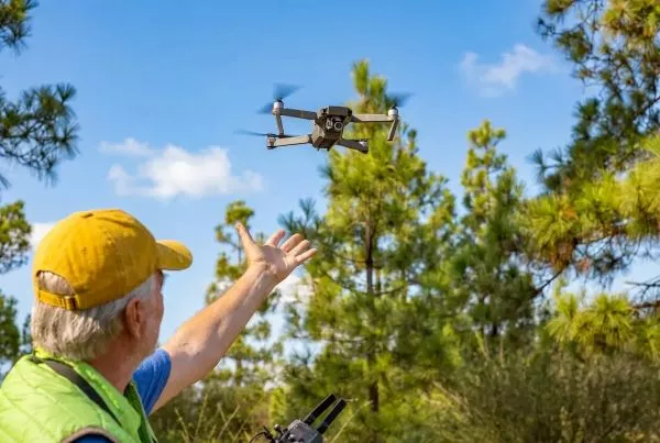 How AI Accelerates the Monitoring of Ecological Restoration Projects