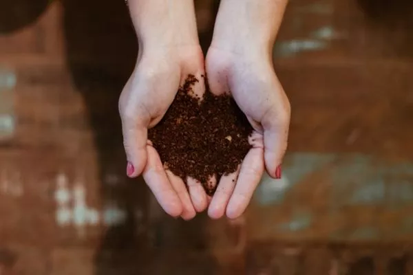 Predictive models for sustainable agriculture and food waste reduction